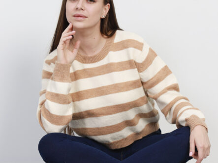 Women Striped Knitted Design Blouse