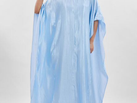 Women Glittery Fabric Long Dress