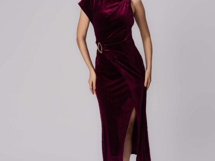 Women Long Velvet Dress