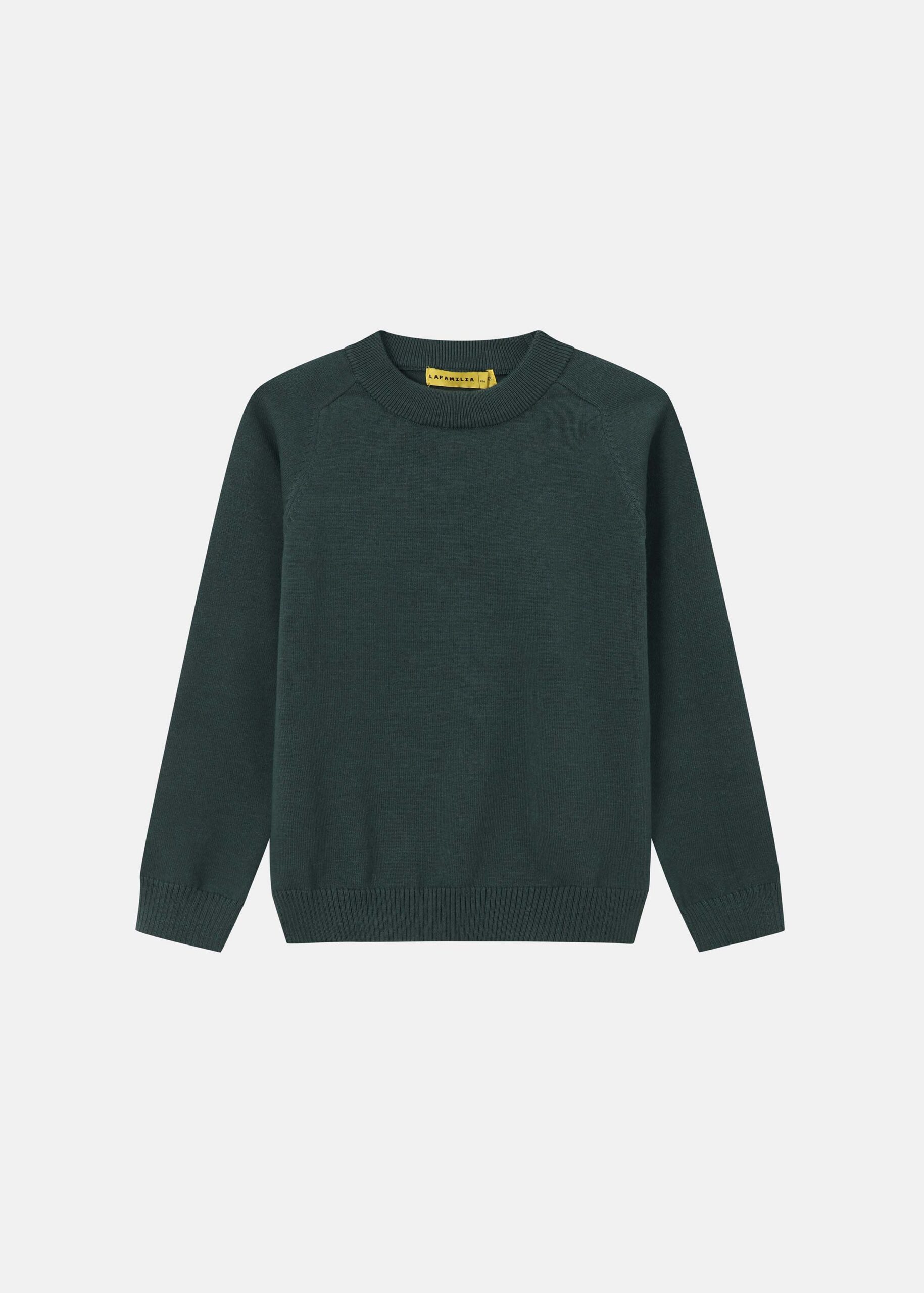 6225316028423-a Kids Boy Knitted Fabric Plain Blouse - Image 1