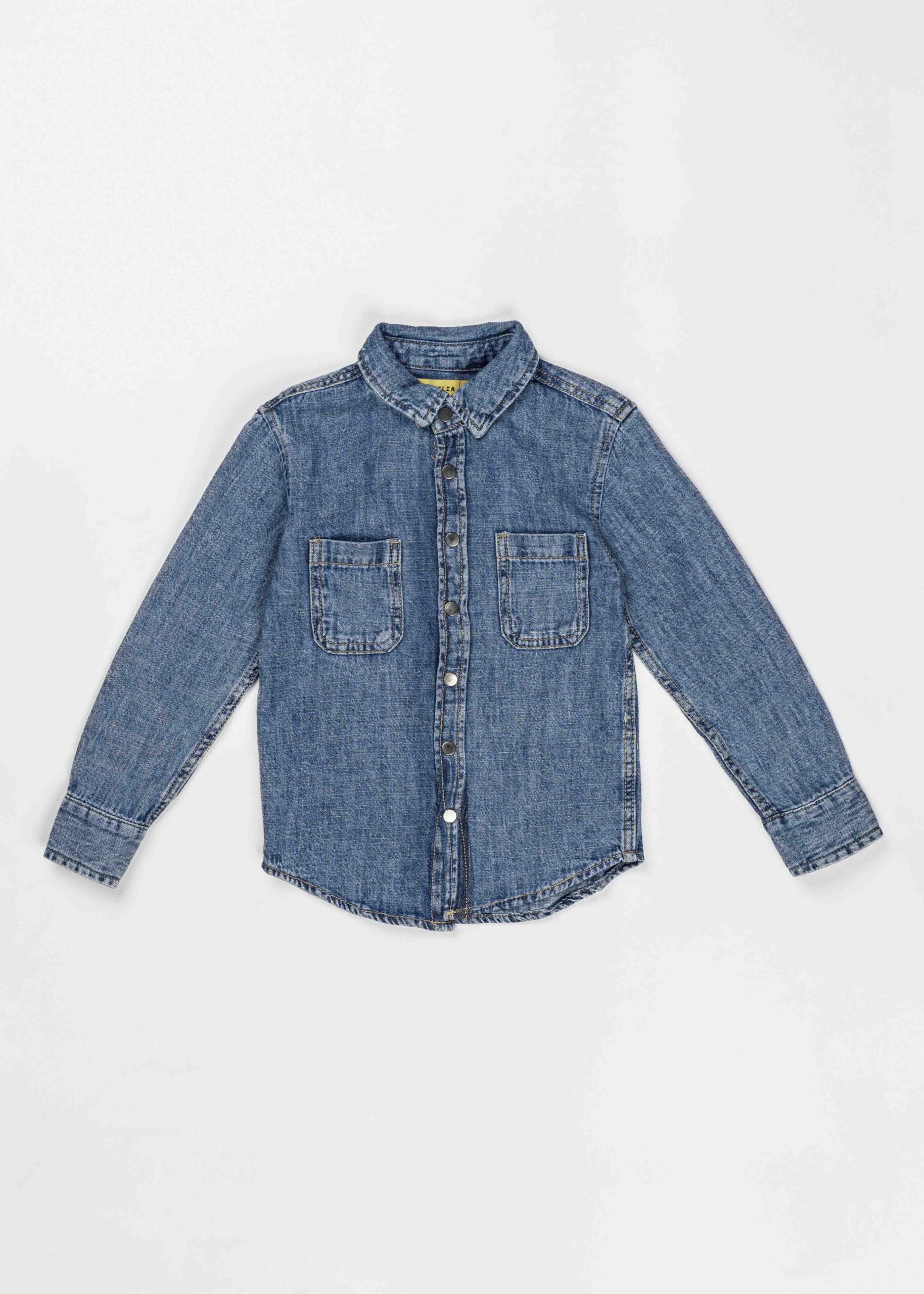 Kids Boy Jeans Shirt