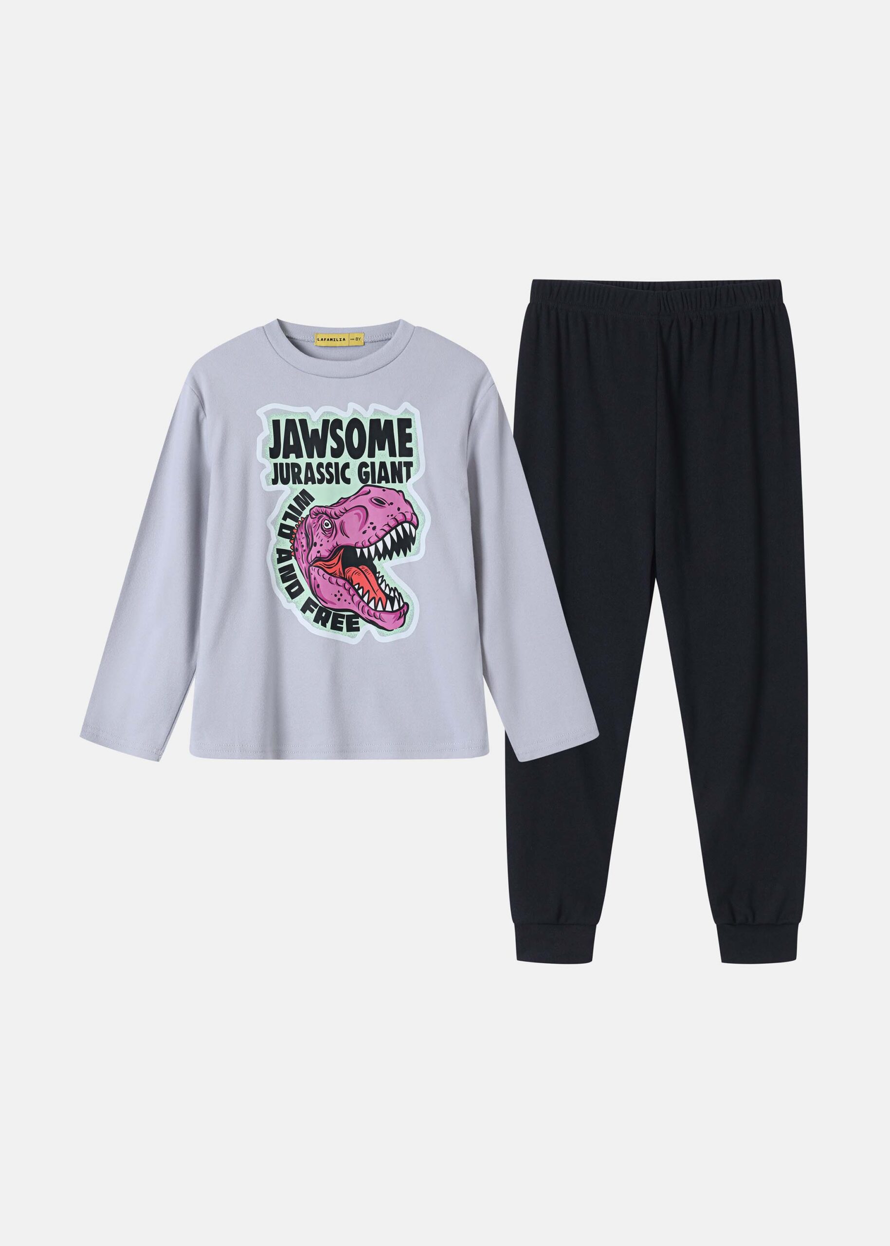 Kids Boy Two-Pieces Pajama