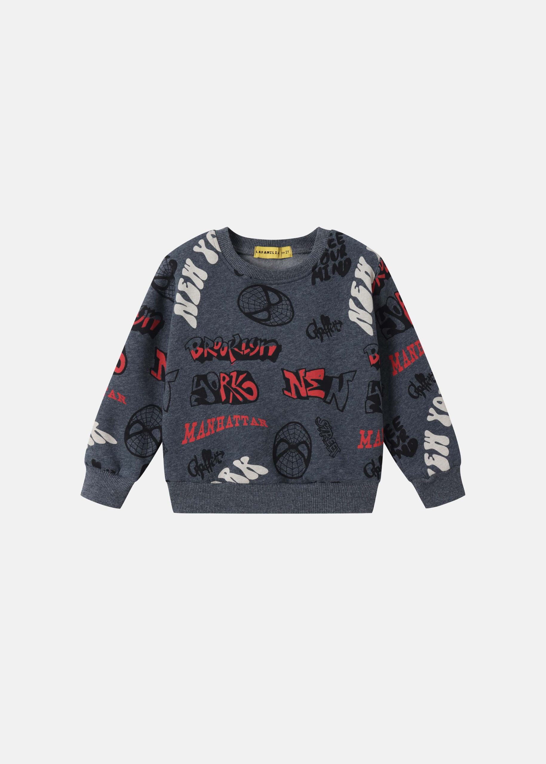 Baby Boy Printed Sweatshirt
