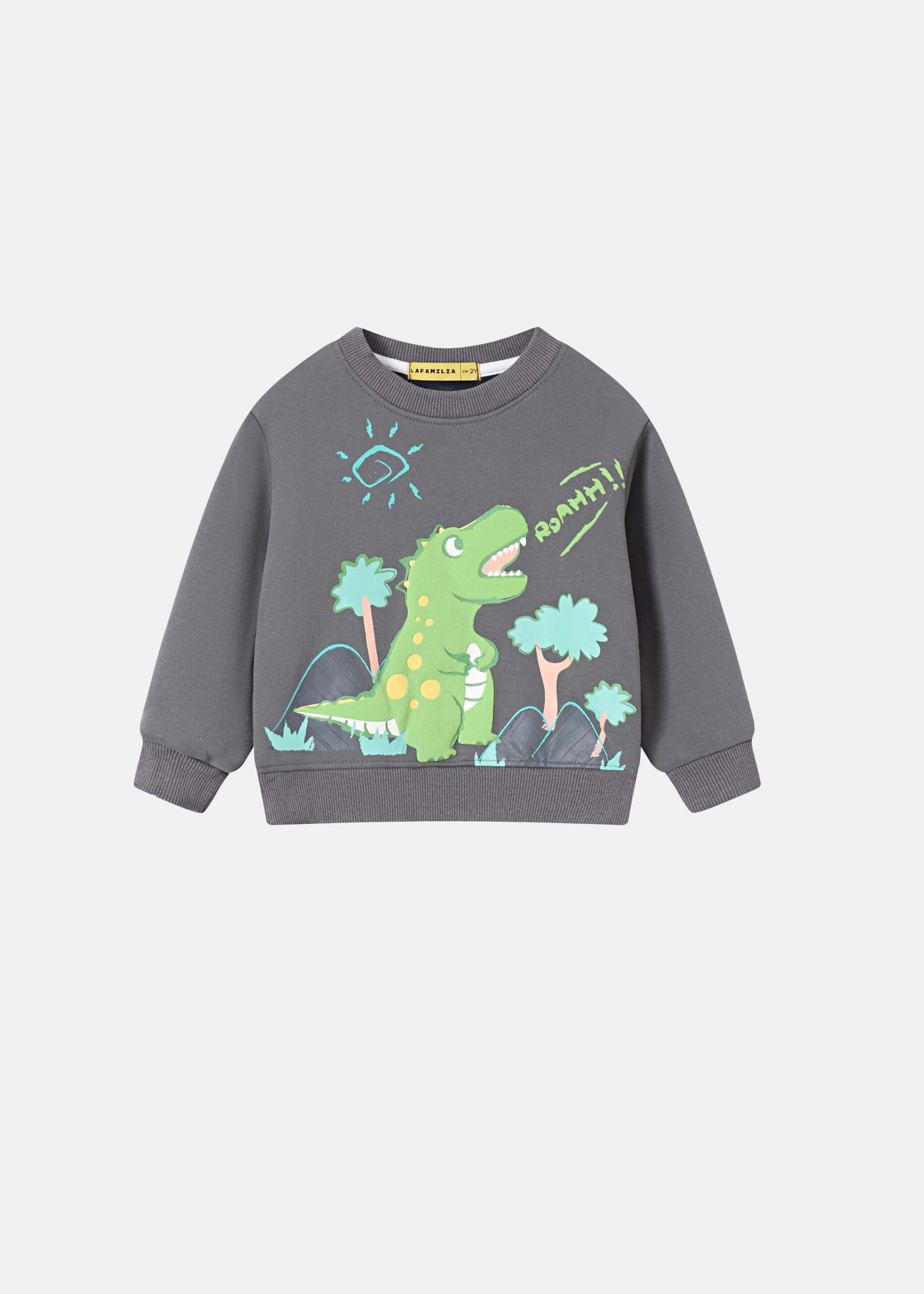 Kids Boy “Dinosaur” Sweatshirt